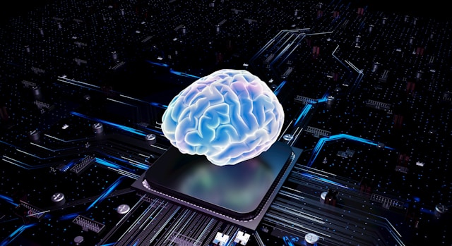 brain